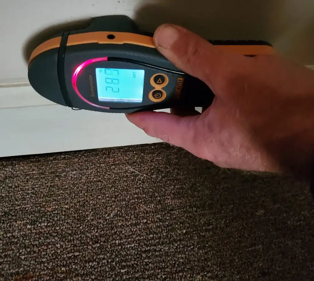 Moisture detection at baseboard during Sewage Cleanup & Sanitation in Santaquin